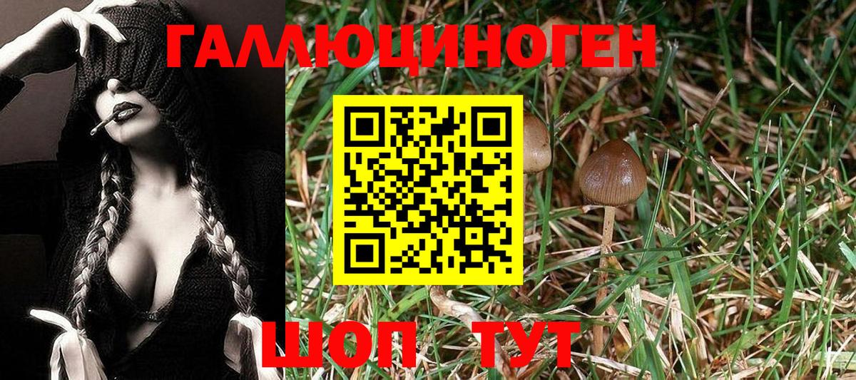 Псилоцибиновые грибы ЛСД  Вход с VPN  Пыть-Ях  Галлюциногенные грибы Magic Shrooms 